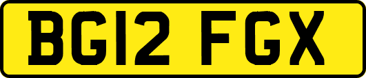 BG12FGX
