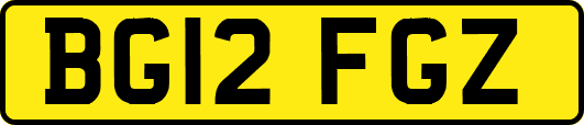 BG12FGZ