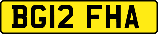 BG12FHA