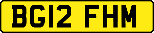 BG12FHM