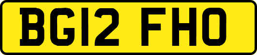 BG12FHO