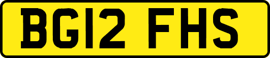 BG12FHS