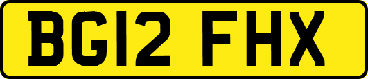 BG12FHX