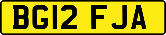BG12FJA