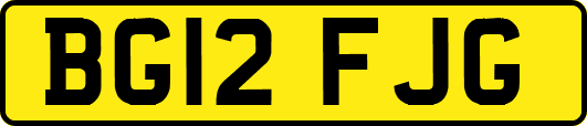 BG12FJG