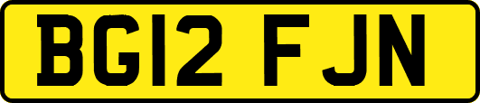 BG12FJN