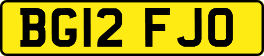 BG12FJO