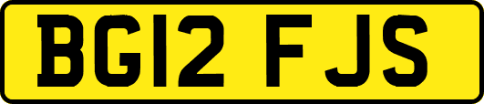 BG12FJS