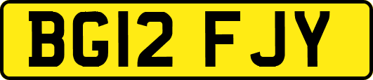 BG12FJY