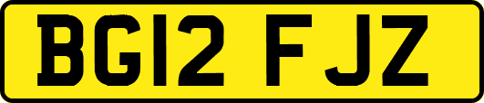 BG12FJZ