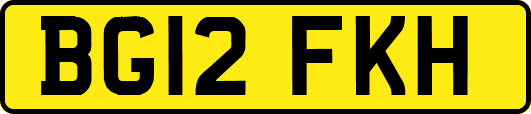 BG12FKH