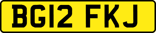 BG12FKJ