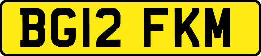 BG12FKM