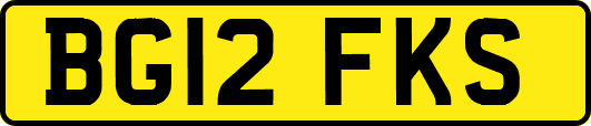 BG12FKS