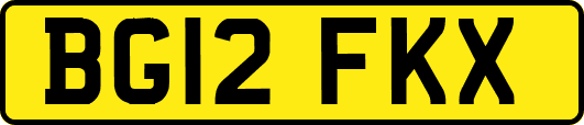 BG12FKX