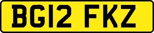 BG12FKZ