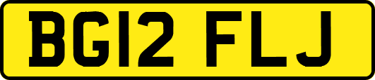 BG12FLJ