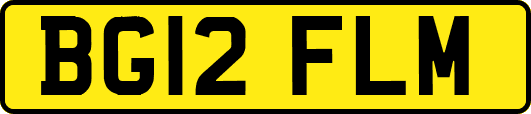 BG12FLM