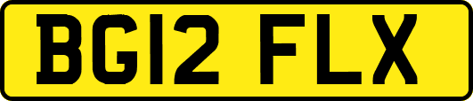 BG12FLX
