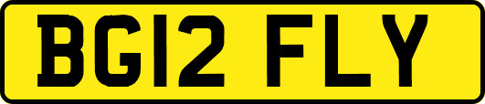 BG12FLY