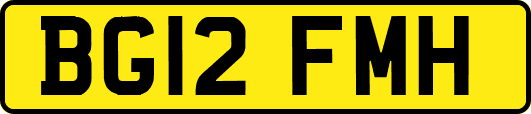 BG12FMH