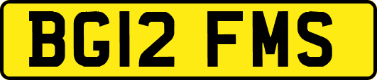 BG12FMS