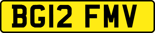 BG12FMV