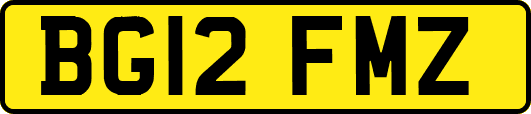 BG12FMZ