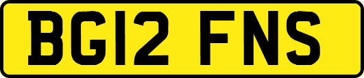 BG12FNS