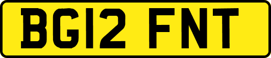 BG12FNT