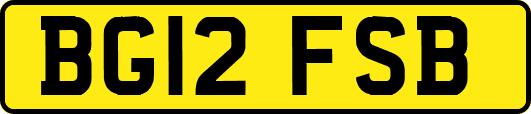 BG12FSB