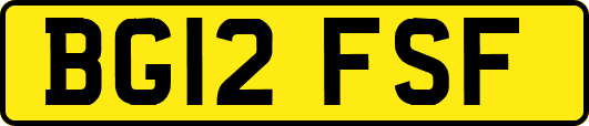 BG12FSF