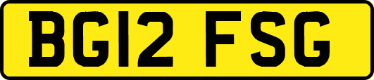 BG12FSG