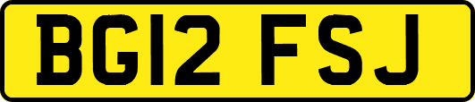 BG12FSJ