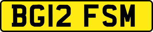 BG12FSM