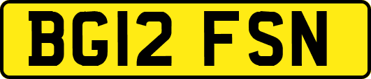 BG12FSN