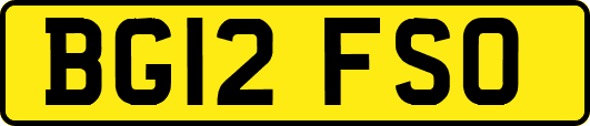 BG12FSO