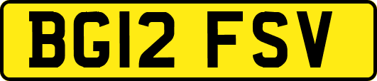BG12FSV
