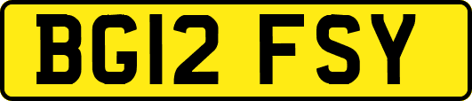 BG12FSY