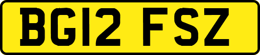 BG12FSZ