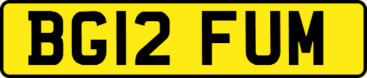 BG12FUM