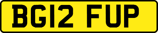 BG12FUP