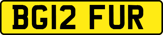 BG12FUR