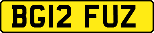 BG12FUZ