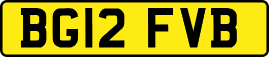 BG12FVB