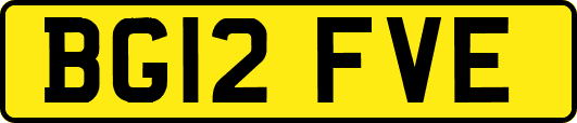 BG12FVE
