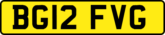 BG12FVG