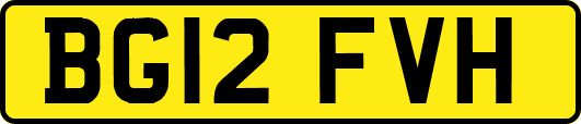 BG12FVH
