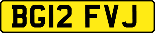 BG12FVJ
