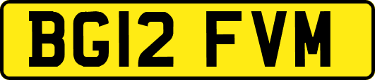 BG12FVM